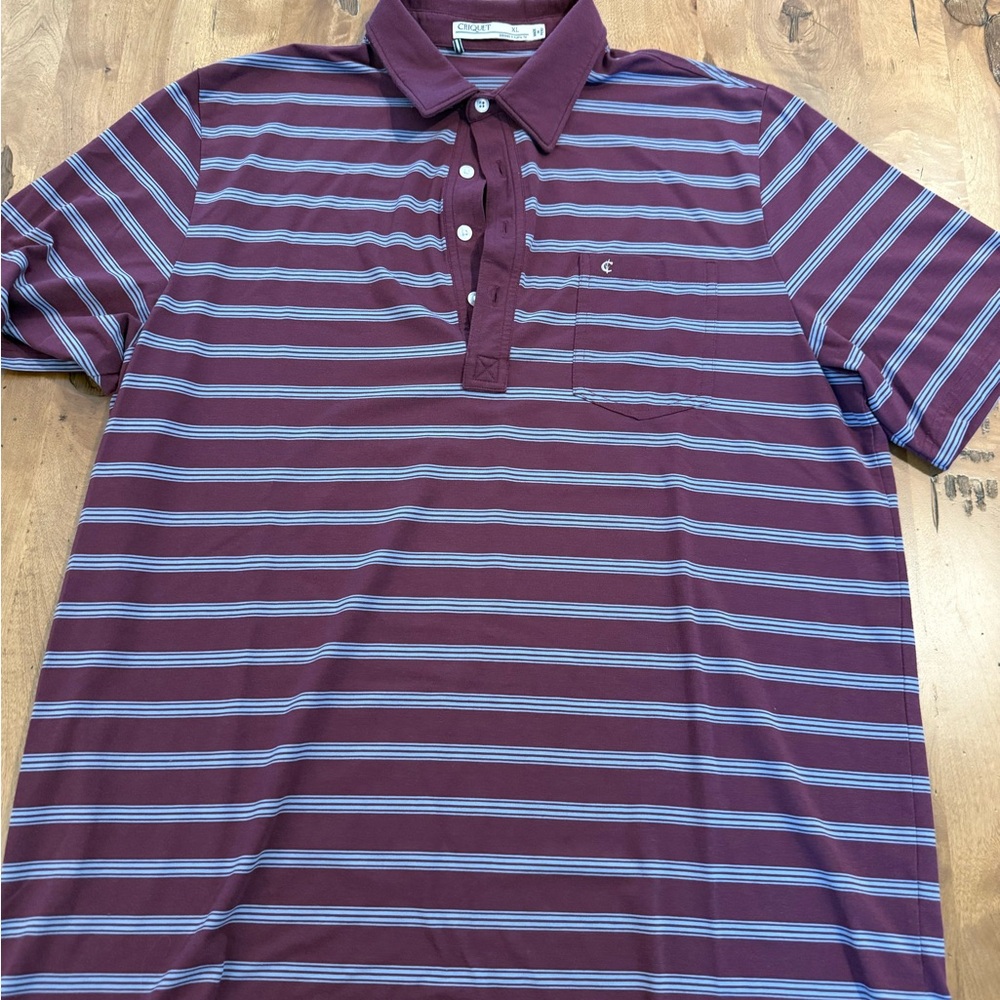 Criquet Men's Polo Shirt - Maroon and Light Blue Stripes